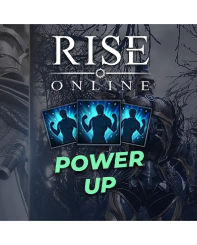 Rise Online Power Up x 10